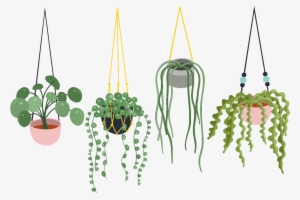 Sticker Fleurs Et Plantes Scandinaves Suspendues Ambiance - Sticker