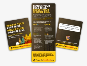 Tip Card - Flyer