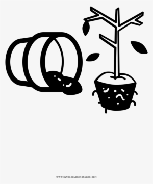Dry Tree In A Pot Coloring Page - Flowerpot
