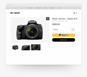 Paypal Passes Customer Contact And Shipping Details