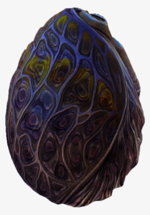 Eggs - Paisley