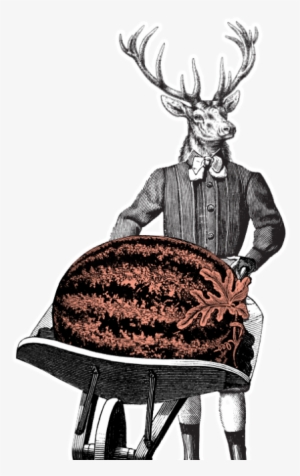 Electric Watermelon - A Clash Of Kings