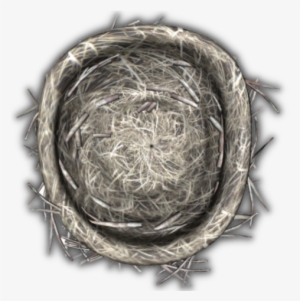 29 425k Egg 06 Feb 2009 - Circle