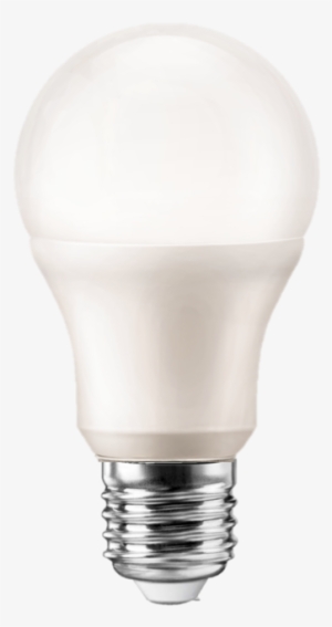 Led Light Bulb