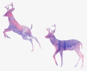 Watercolor Pngs - Deers Watercolour