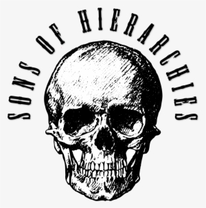 Mark Bradbourne - Skull Poster Black And White