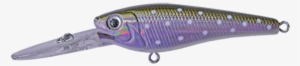 Galaxia Minnow 981t - Bait Fish