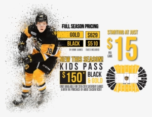 Gold 2018-19 Hamilton Bulldogs Season Tickets Dog House