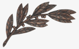 Laurel Branch - Twig