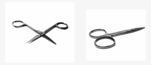 To Start This Process, We Were Asked To Choose A Small, - Scissors