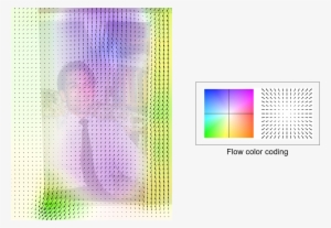 Illustration Of The Computed Flow Field On One Of The - Graphic Design