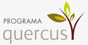 Nuestro Destino Será Uno De Los Terrenos En Custodia - Wrist Brace