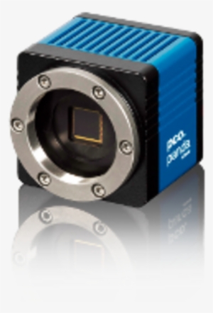 Friday, 01/27/2017 - Pco Panda