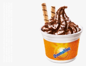 27 Mar - Soy Ice Cream