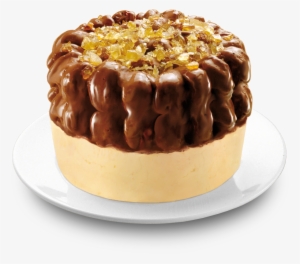 Torta De Sorvete Prepara Novidades Para Breve
