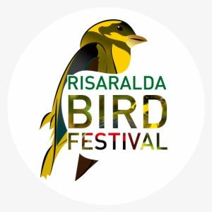 Risaralda Bird Festival - Bird Festival Pereira 2018