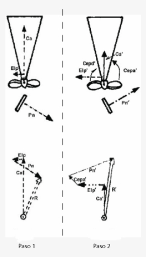 Principio De Bernoulli - Bernoulli's Principle