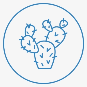 Desert-garden - Circle