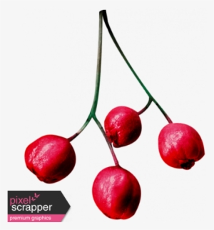 Christmas Day - Elements - Berries - Loved Word