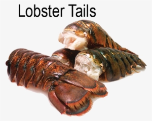 Products - Cold Water Raw Lobster Tails