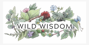 Wild Wisdom - Awbury Arboretum