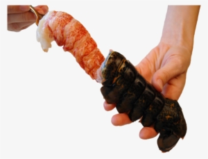 Brazil Lobster Tail