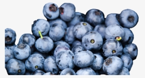 Wild Blueberries, Credit - Blueberry Texture