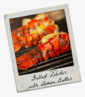 Memorial Day Lobster Delivery Grill - Grilling