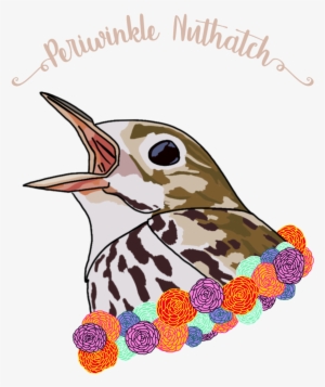 Thrush - Best Friends Animal Society