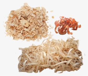 Photo By - - Wood Shavings No Background