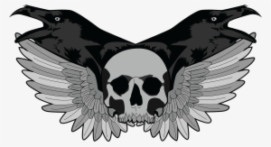 Ravens, Skulls, Wings - American Crow