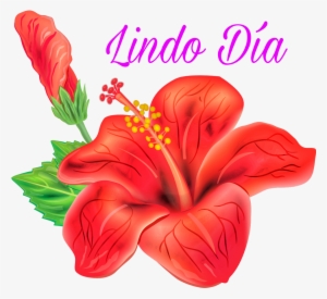 Hibiscus Vector Free