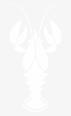 Maine Lobster Tail Usa - Crayfish