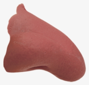 Pinocchio Nose Png - Portable Network Graphics