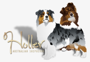 Australian Shepherd Kennel Logo