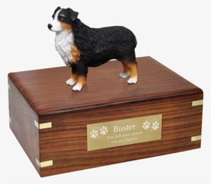 Australian Shepherd Tricolor Pet Wood Cremation Urn - Pug Urn
