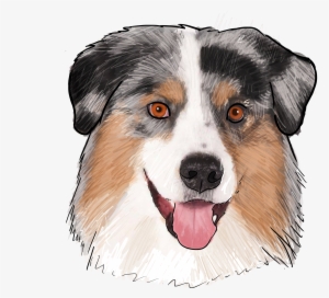 Australischer Schäfer-australische Hundehallo Karte