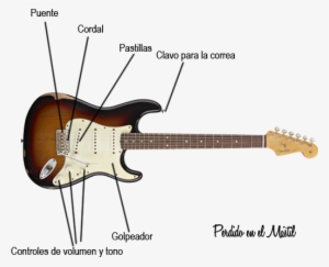 Partes De Una Guitarra Eléctrica - Fender Stratocaster American Standard Hh