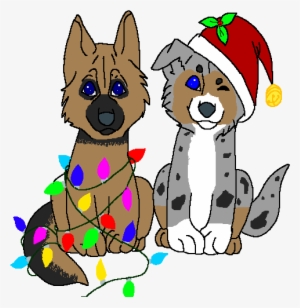 German Shepherd And Australian Shepherd - German Shepherd