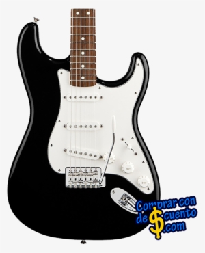 Figured Rosewood Artisan Stratocaster