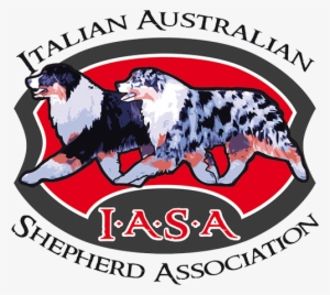 Italian Australian Shepherd Association - Italian Shepherd
