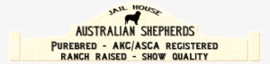 Australian Shepherds - Jailhouse Aussies - Australian Shepherd