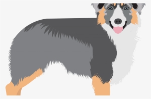 Canadian Kennel Club Reveals Surprise Addition To Canada's - Shetland Sheepdog