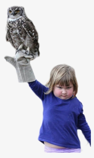 Personan Angry Girl Holding An Owl - Person Holding An Owl
