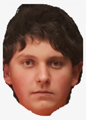 Harry Styles Stickers Funny