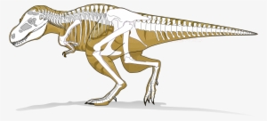 Open - Tyranosaurus Rex