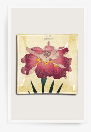 Giclee Painting: Plate 38, 61x46in.
