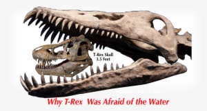Why T-rex Was Afraid Of The Water - Palaeoloxodon Namadicus T Rex