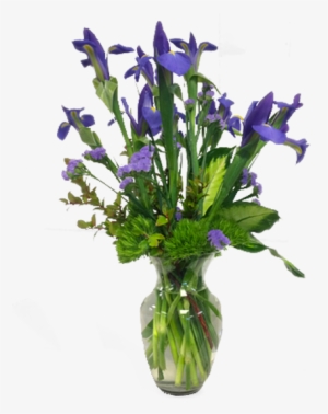 Intriguing Iris - Balloon Flower