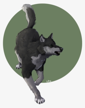 Birthday Boy - Dog Catches Something